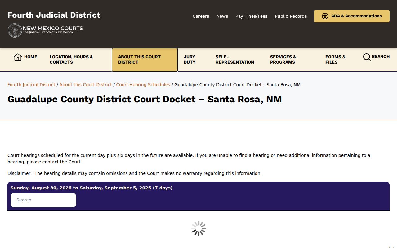Guadalupe County court calendar District Court near-term hearing page